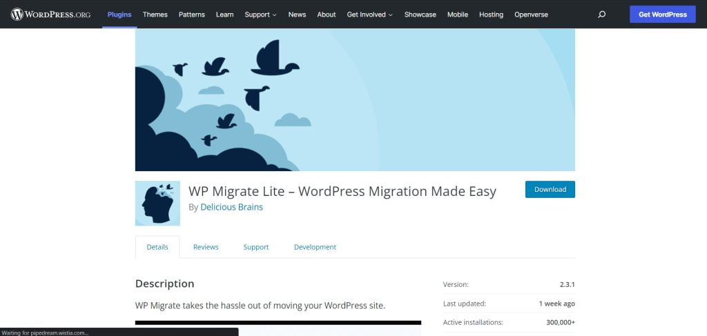 WP Migrate DB, WordPress database migration plugins